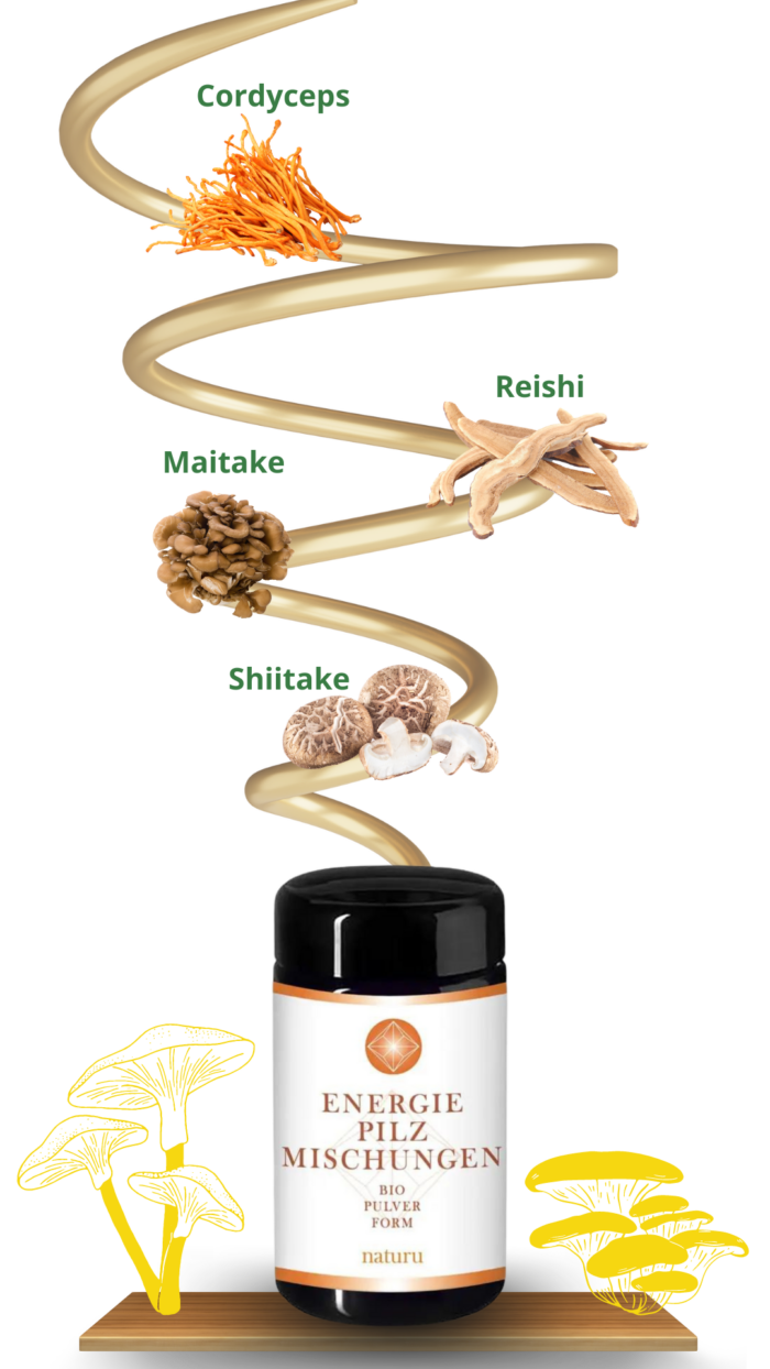 Energiepilze | Vitalmischung – Bild 2