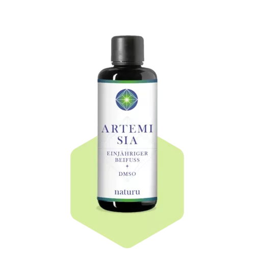 Artemisia-annua-mit-DMSO-von-Naturu-shop