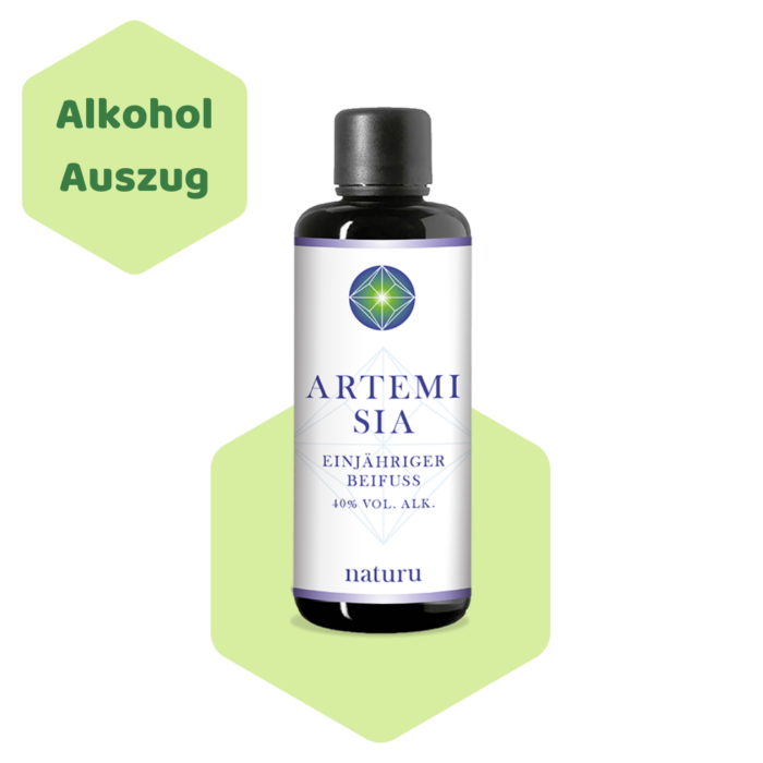 Artemisia annua als alkoholischer Auszug von Naturu